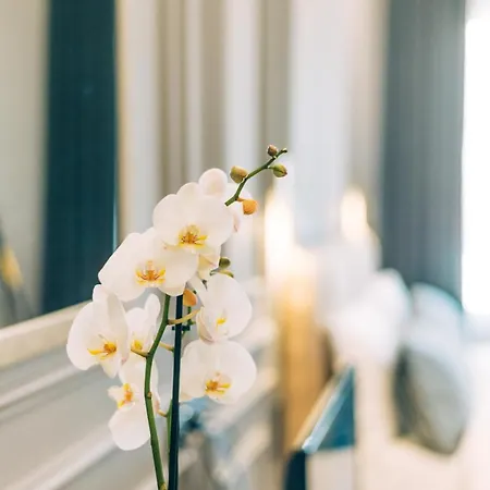 Stela Center 4* Tirana