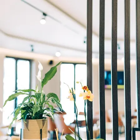 Hotel Stela Center Tirana