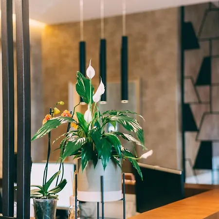 Hotel Stela Center Tirana