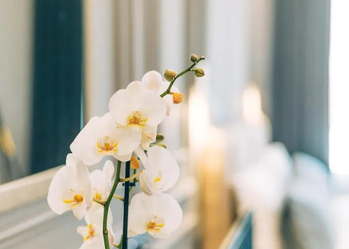 Stela Center 4* Tirana