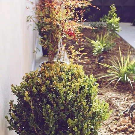 Hotell Stela Center Tirana